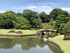 ７月の平日午前に六義園を訪れました。暑い日で入園者が少なく、広い庭園内がいつもより広く感じました。池の周りの木々の下を歩きながら、蓬莱島のアーチを観賞したり、妹山・背山に架かる土橋の田鶴橋を遠くから眺めたりしました。