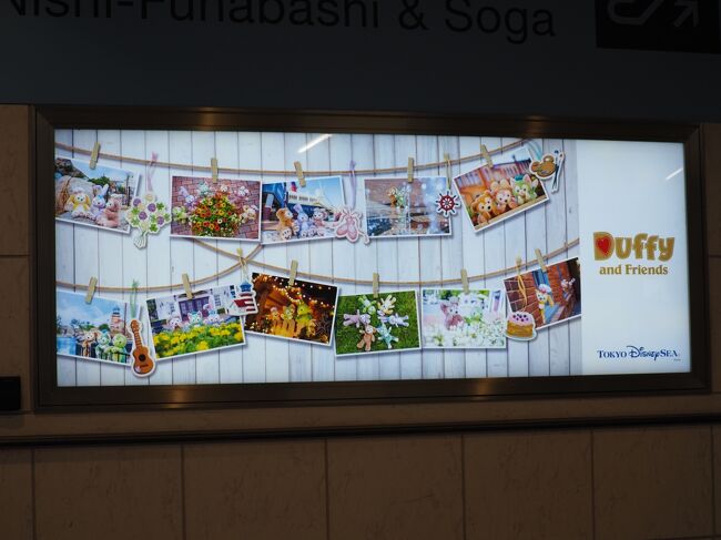 おひとり様ディズニー☆もふもふ達が勢ぞろいの「ダッフィー
