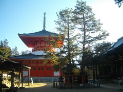 第３日目は、壇上伽藍の観光。朝から気持ちの良く晴れた。
根本大塔が青空に映える。夜に見た姿とは印象が異なる。お正月は入場無料で中を拝観できる。