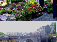 まずはサン・ゴンサーロにやってきました。
市場は花がたくさんあって彩りが鮮やか。活気があります。

綺麗な橋も見られます。