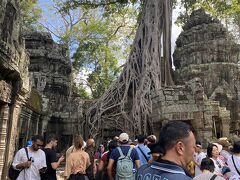 2つ目の目的地がタ・プロームです。
アンコール・トムと人出は変わらないものの、トゥームレイダーの撮影地にもなったということで映画に出てきた遺跡の場面が撮影スポットになっていて順番待ちが発生するほどの人気ぶりでした。