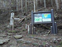 10分ほどで妙法山（左）と那智高原公園（右）の分岐に。大雲取越に行くには右へ。妙法山に向かうので左に行く。