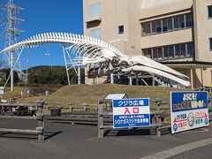 そろそろ空腹感を覚えてきた。
次の道の駅あたりで昼飯でも食べましょ！
ということでやって来たのは道の駅　和田浦WAO！

道の駅の敷地に入るやいなや大きな骨格標本が！！！
全長26ｍ　シロナガスクジラの骨格標本（レプリカ）で、1880年代初頭にノルウェーで捕獲されたメスのシロナガスクジラを元に制作されたものなのだとか。