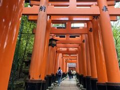 写真で見たことはありますが、実際に行ってみて　果てしなく続く鳥居に圧倒されました！