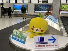 松山国際空港では、こみきゃんのお出迎え。