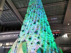 名古屋駅

とにかく人、人、人！
金曜日の夜だし、
クリスマスや忘年会のにぎわいでしょうか。

なんだか人混みで疲れました～>⁠.⁠<


