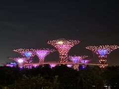 シンガポール航空の安全ビデオに出てくるこちらを息子は見たがっていました。中に入らずともキレイでした。