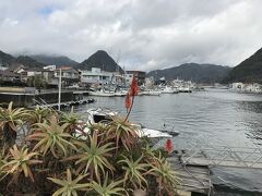 下田の富士山。