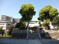 北十間川沿い福神橋の北詰近くにある神社です。創建年代は不明ですが、1199年北条氏によって社殿が造営されたといわれる歴史ある神社です。隅田川に架かっている吾妻橋は吾嬬神社参拝への北十間川沿いの道に通じることから付けられているそうです。