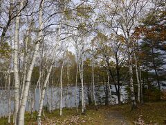 「道の駅 三田貝分校」の次に訪れたのが山間に佇む「岩洞湖」です。湖岸に並ぶ白樺の木が印象的でした。