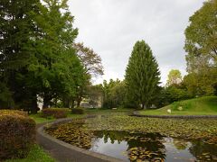 岩手大学のキャンパス内にある「農学部附属植物園」は90年以上の歴史があります。特に印象的だったのが「北水の池」で、少し色づき始めた木々の葉が美しかったです。