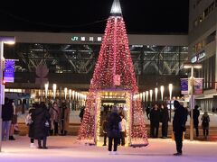 旭川駅に着きました、これは別の日の写真ですが、駅前にはこんなイルミが当日も飾られていました。その日はかなり雪が積もり、駐車場の私の車には３０ｃｍ以上の雪が積もっていて、それも日中に溶けた雪が固まったのでガリガリ状態（北海道の人にはどんな状態かわかると思いますが）ですっぽり埋まっていて雪落としに30分かかりました。今年は最初は良かったのですが最後はほろ苦い札幌散策となりましたが、こんなこともあるでしょう。また、来年、機会があれば冬のイルミにチャレンジしたいものです。最後までお付き合いいただきありがとうございました。