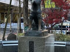 2023年にハチ公生誕100年。

1924年
東京帝国大学農学部・上野英三郎博士のもとに贈られ、「ハチ」と名付けられる。
1934年
東京・渋谷駅前に「忠犬ハチ公像」が建立される。
除幕式には、ハチも参加した。
1935年
3月8日ハチ死亡。