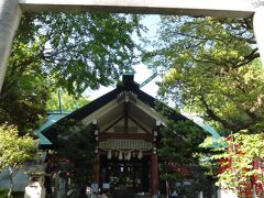 亀戸天神の北側、北十間川近くに天祖神社があります。創建は不祥ですが、悪病が大流行したとき、織田信長がこの神社で流鏑馬の行事を行わせたところ、たちまち収まったという言い伝えもあるそうです。関東大震災での焼失を経て、日本最初の鉄筋コンクリート造の社殿を造ったと言われていて東京大空襲では戦火を逃れ多くの人を助けたそうです。石造りの鳥居から参道に入ると季節柄華やかな鯉のぼりが悠々と泳いでいました。