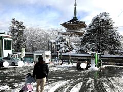 夫の用事で急遽長野へ行くことに。

せっかくなので楽しもう！と善光寺へ足を延ばして、初詣へ行ってきました。