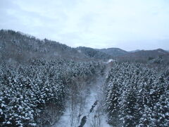 トマムを過ぎると、まるで北欧のような針葉樹林と白の世界。
特急なら、運転の心配もなく北海道の冬の風景を楽しめる。
家にいる年始も良いが、冬の北海道を見られる年始もまた良い。