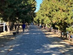 草加松原。
江戸時代から日光街道の名所とされた場所で、昭和40年代に著しく本数を減らしたようですが、平成24年（2012年）には634本の松並木が復活するに至っています。