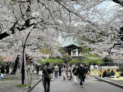 寛永寺清水観音堂へ。