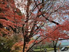 さらに坂を下っていくと、少し紅葉の残っているところがありました。