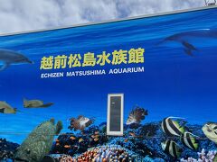 東尋坊を後にして
近くに越前松島水族館へ