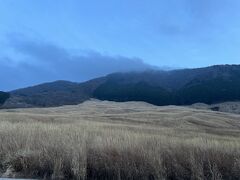 冬の夕暮れは早い。
部屋でまったりしたい気持ちを奮い立たせ、
ススキの野原に散策に行きます。

お天気があまり良くないので、雨になる前に行こう、と急いで歩いていくのですが、早くも日が暮れていきます。

ススキの野原は、夕暮れの中寒そうに広がっています。
ススキは光にキラキラしている時がいいね。