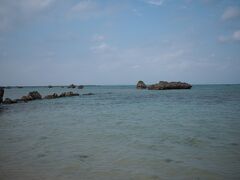 お次は佐和田の浜というところに来ました！
海原にゴツゴツした岩が点在していて面白い！