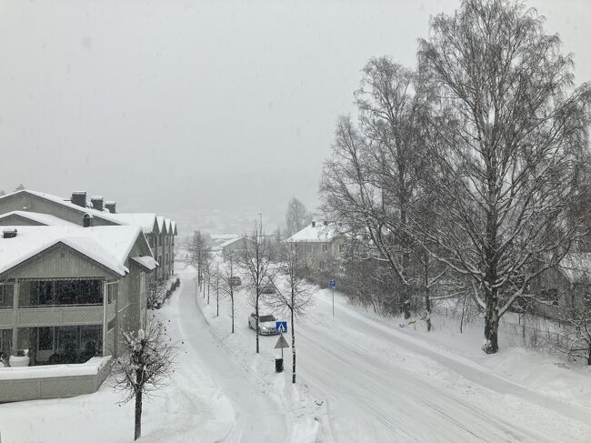 今日から休みだから早起きしなくていいのに、結局時差ぼけと除雪車の音で早く起きてしまった。