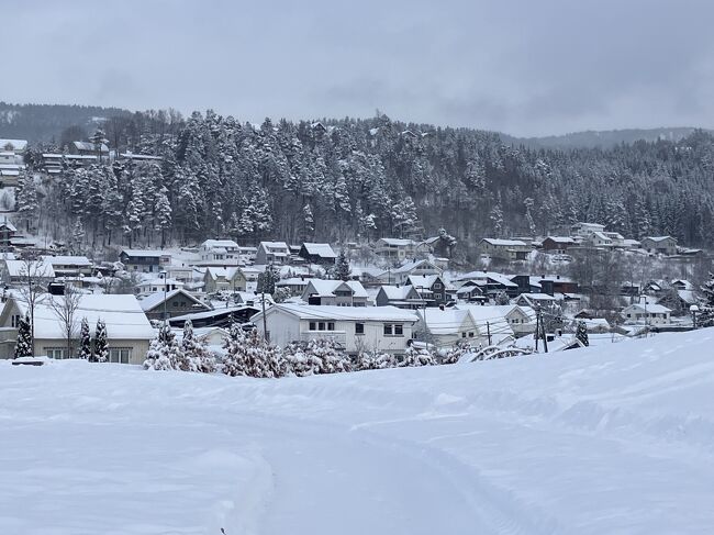 今朝は結構雪降ったけど、マイナス4度であったかい。雪化粧が綺麗。マイナス10度以下はやはり凍れるねー。