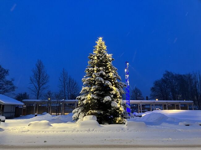 ランチの後、天ぷらを消化しようとお散歩へ。日曜ということもあり待ちは静まり返っていて、クリスマスの飾りりつけもあるし大晦日感はゼロ。