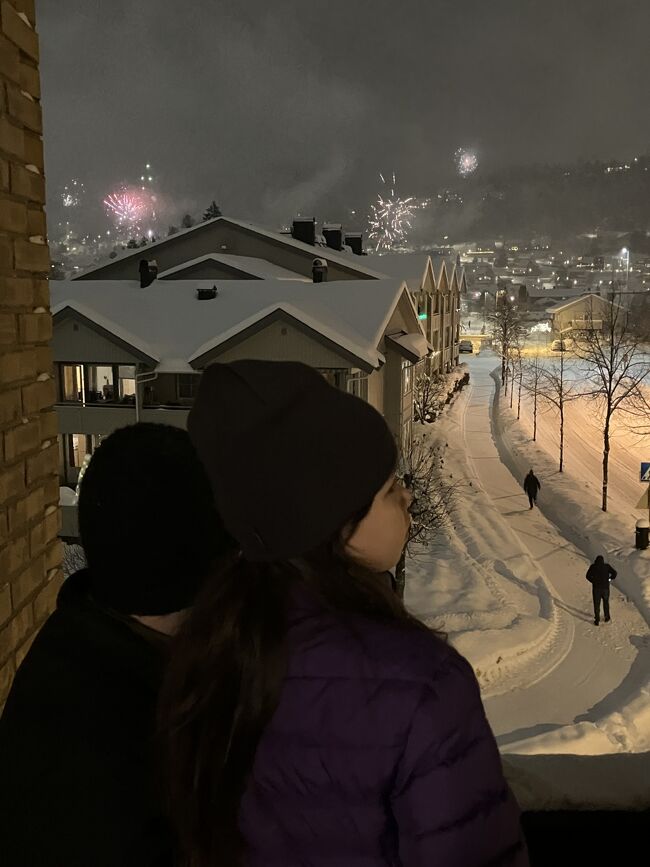 夜紅白をネットで見たりして、大晦日感を味わう。ネットで見るとハイライトだけ、見たいところだけ効率よくみられていいかもしれない。日本のみんなとリアルタイムで共感できないのは残念だけど。カントダウンは恒例の個人であちこちであげる花火鑑賞。個人で揚げるにしてはなかなか立派なのが上がる。今年は雪が降っていたせいなのか、少なめだった。<br />