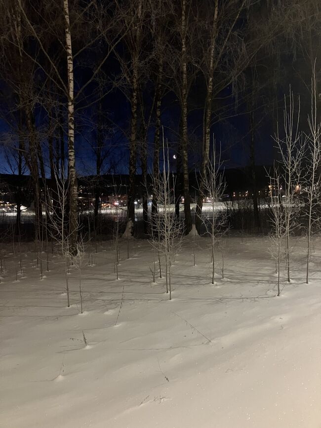 日本帰国の日。今朝いきなりノルウェー中の電車が朝7時まで運休のニュース。8時台に乗るからギリセーフ。焦ったー。マイナス22度の中歩いた。寒いけど綺麗。