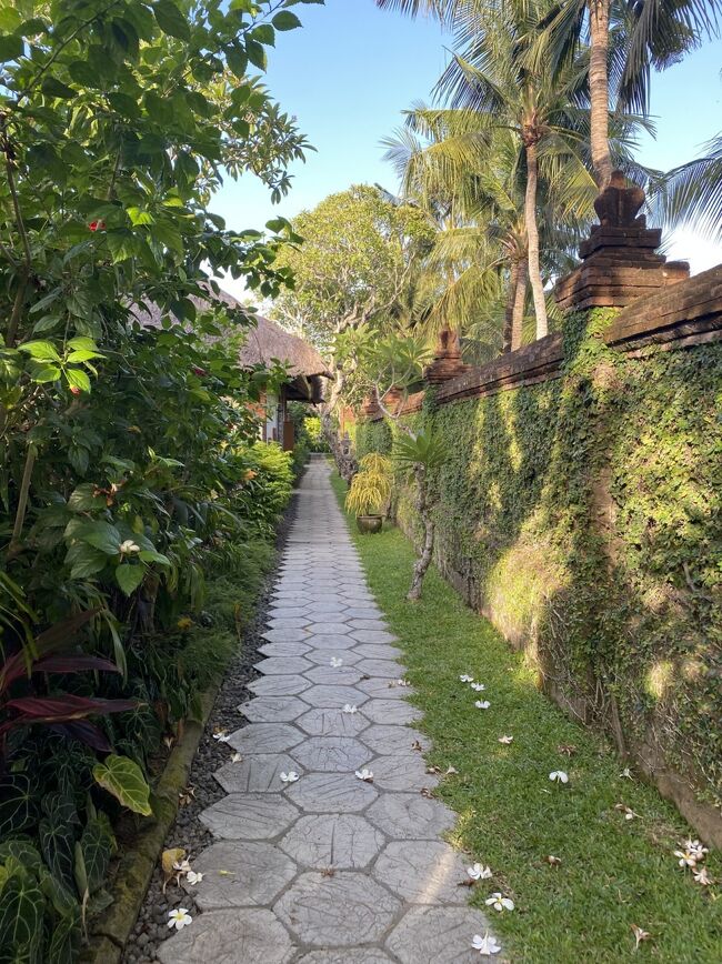 フロントから　左右に　バンガロー棟が続くのです