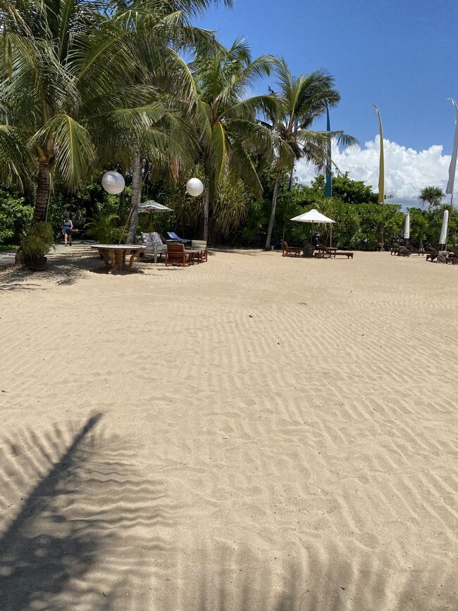 今年からインドネシアは入国税の違うジャンルのものを増やして、、ぼったくりだ、、とUSの旅のフォーラムでも言われていたのだ、、何しろ　ヴィザ・オン・アライヴァルが３５ドルって高いと思う、、帰りの空港使用税は　チケットに含まれるようになったけど、、皆さんの書き込みを読むと　簡単にお金を稼ごうとしていて醜いとか、、またまたやってくれた、、イージィマネーとか、、評判がよくないです、、ｗ　みんな知ってるんだな、、王族たちの袖の下ジョブｗ　さてどうなるのかしらね、、