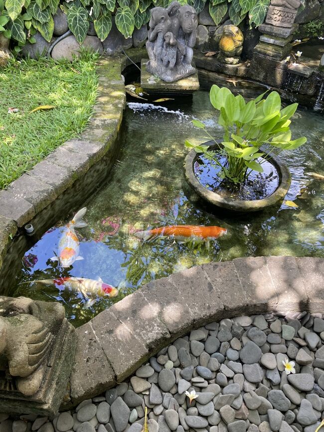 この裏あたりにジムがある<br />冷房が効いています