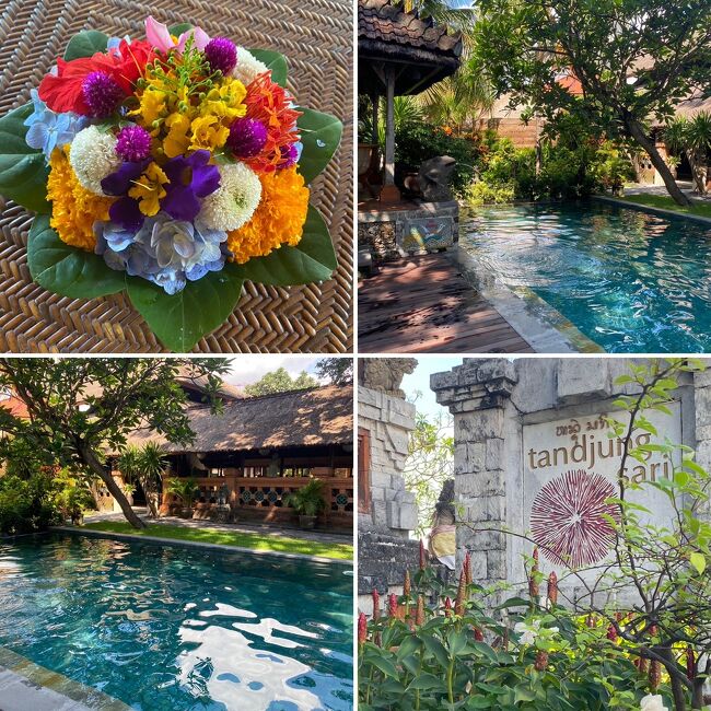 同じような写真です<br />開き直りです<br />ｗ