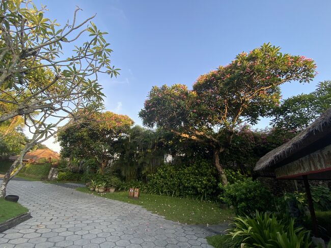 ホテルの敷地内の写真が続くと思う