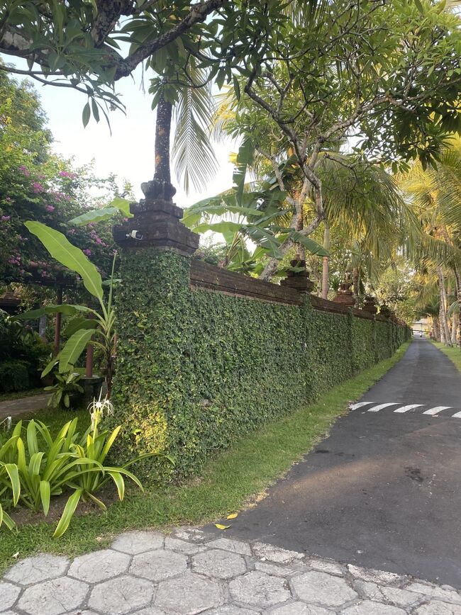 ずっと歩くとタンブリンガン通りに出るのだ<br />右に曲がって５，６件めに　アシタバがあるのだ、、だから　買い足す時にとても便利なのだ