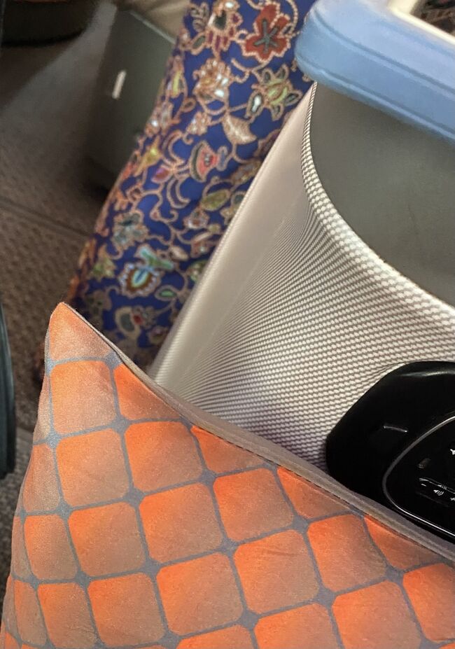 中距離線のこのオレンジの遠くからみると鱗みたいにも見えるクッションのほうが長距離の茶色のより好きです、、それに　ＳＱのキャビンアテンダントのユニフォームと　盗撮ですなｗ