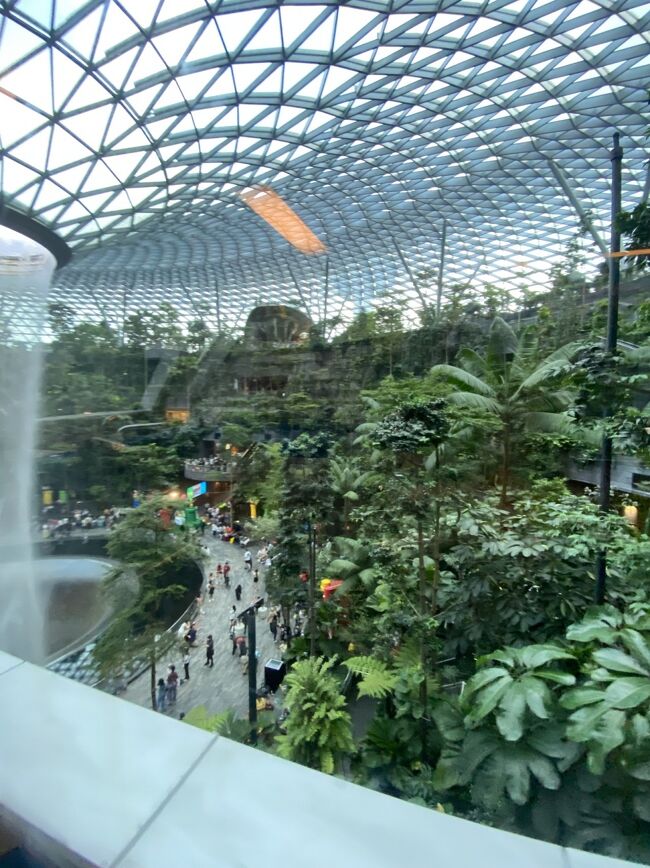 ジュウェルは　ドンキもあれば　巣鴨のラーメン屋の蔦もあれば　ディンタイフォンも　香港のディムサムのお店　オアフのロイヤルハワイアンの中にも入っている、あの添運みたいな名前の、ティムホーワンでしたね、、、もあれば　星のコーヒー　任天堂は何件もあった、日本のものがたくさんあるので驚く　旅行に行かなくてもいいじゃない？ぐらいです