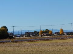 さあ、椎の木湖へ。
椎の木湖のそばの三田ヶ谷交差点のあたりでは、秋に「羽生コスモスフェスティバル」が行われます。
さすがに11月後半では、花を見ることができませんでした。
（写真は昼に撮影）