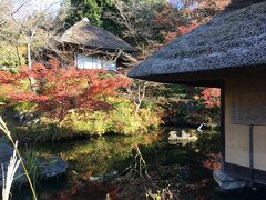 産寧坂の雑踏を逃れるように坂口庭園。
無粋な観光客も寛容に受け入れてくれます。