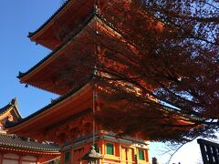 清水坂の雑踏に押し流されるように清水寺まで来ました。