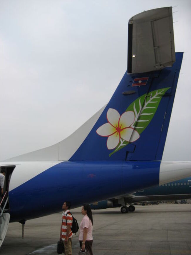 マークは国花のプルメリア