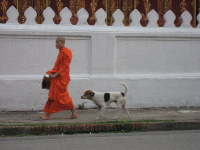 おこぼれをもらう助手付き托鉢