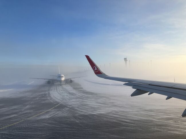 気温がとても低く、靄っていて、とても雰囲気のある写真が撮れた。