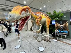 福井県で恐竜の化石が多く見つかってるから恐竜推し！