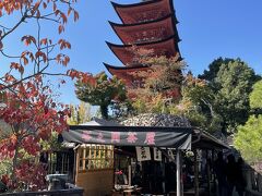 広島・宮島 国重要文化財『五重塔』付近にある【塔之岡茶屋】の
写真。
