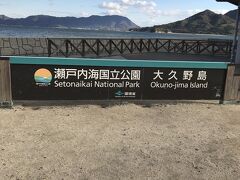 孫が行きたがっていたウサギで有名な大久野島に着きました。