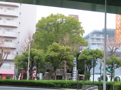 道路向こうに小さな神社さん。「洲崎神社」と書いてあります。
