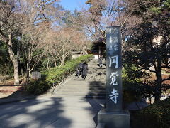 臨済宗　大本山《円覚寺》

子供の頃に来たような気がするけど、かなり久しぶりだと思います(*´-`)

円覚寺は弘安5年（1282年）に創設。
回基は鎌倉幕府の執権北条時宗
開山は高僧の無学祖元（仏光国師）

※パンフレットより